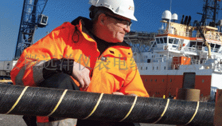 �����L����|��r